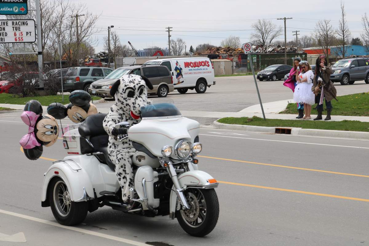 Dalmatian riding a motorcycle in the Disney drive-by for Cloey Prince in London Ont. Sawyer Bogdan