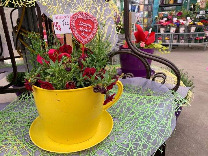 Mother’s Day flower pot at Kuhlmann’s Greenhouse.