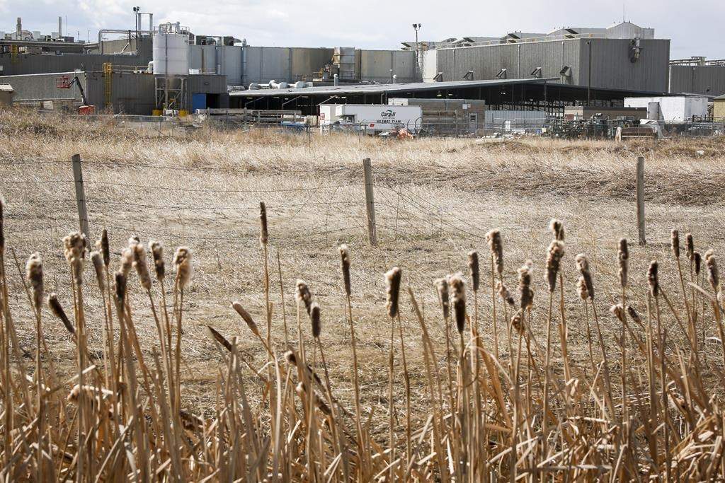 The Cargill beef plant near High River, Alta., is shown April 23, 2020. A union is trying to halt the planned reopening of an Alberta meatpacking plant that has been the site of a major COVID-19 outbreak. THE CANADIAN PRESS/Jeff McIntosh