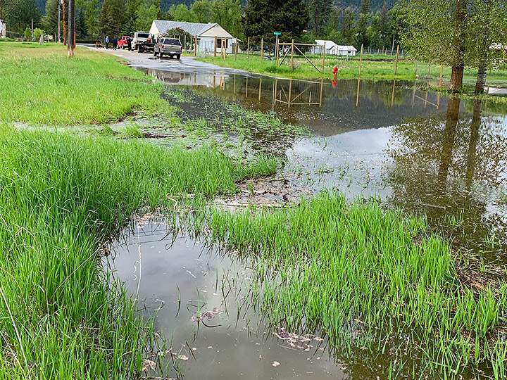The Regional District of Kootenay Boundary says high rainfall has resulted in Kettle River flowing across Beatrice Road near Grand Forks, B.C.