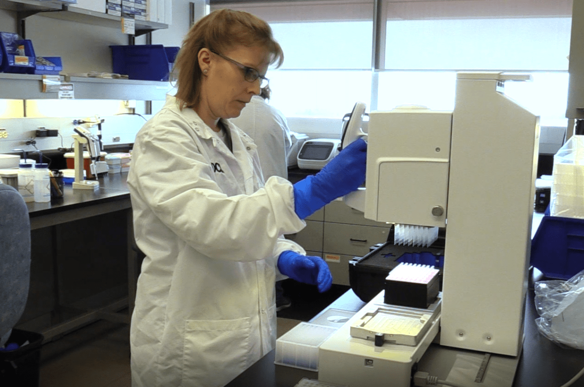 The Roy Romanow Provincial Laboratory is processing between 500 to 800 tests every day.