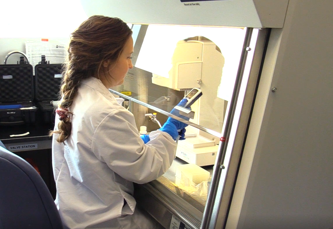 The testing is done in two steps. The first is extraction, and the second is a polymerase chain reaction (PCR) test.