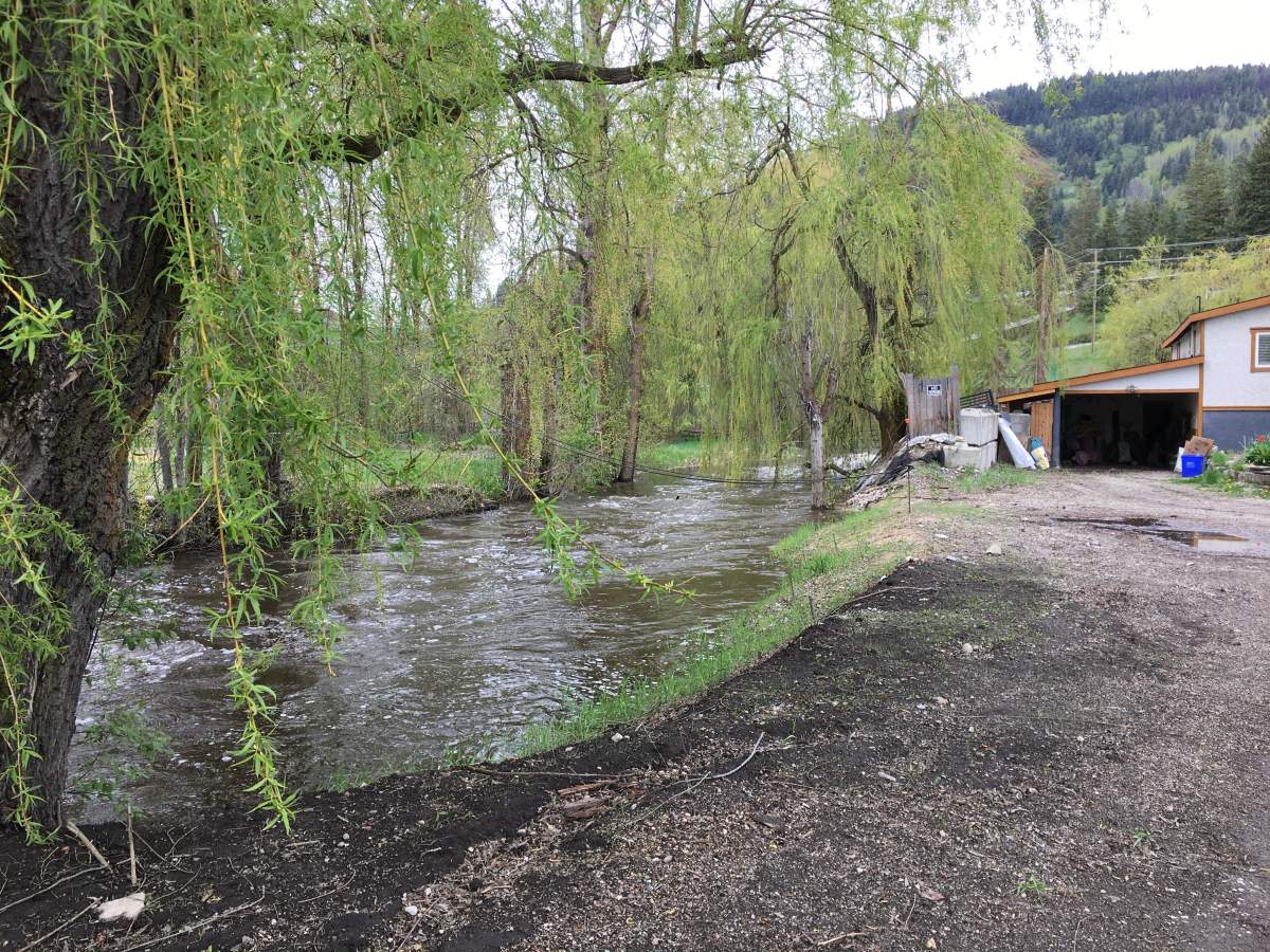 Creekside residents in Lumby, B.C., under evacuation alert as water rises ‘rapidly’ - image