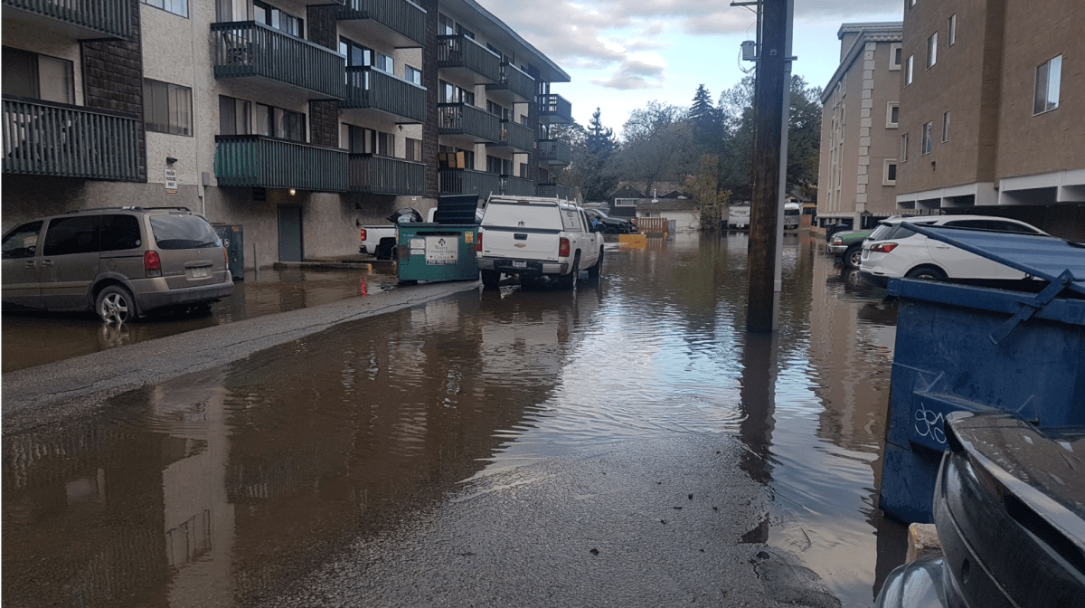 Mill Creek bursts banks, floods neighbourhood in Kelowna, B.C. - image