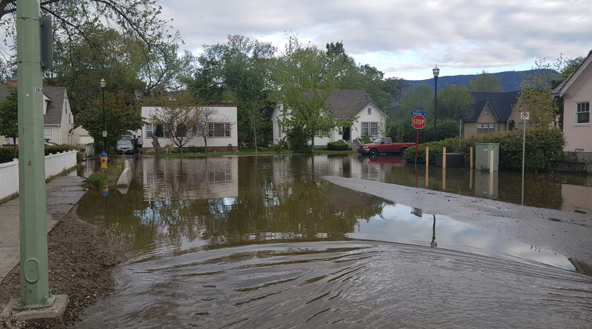 Mill Creek bursts banks, floods neighbourhood in Kelowna, B.C. - image