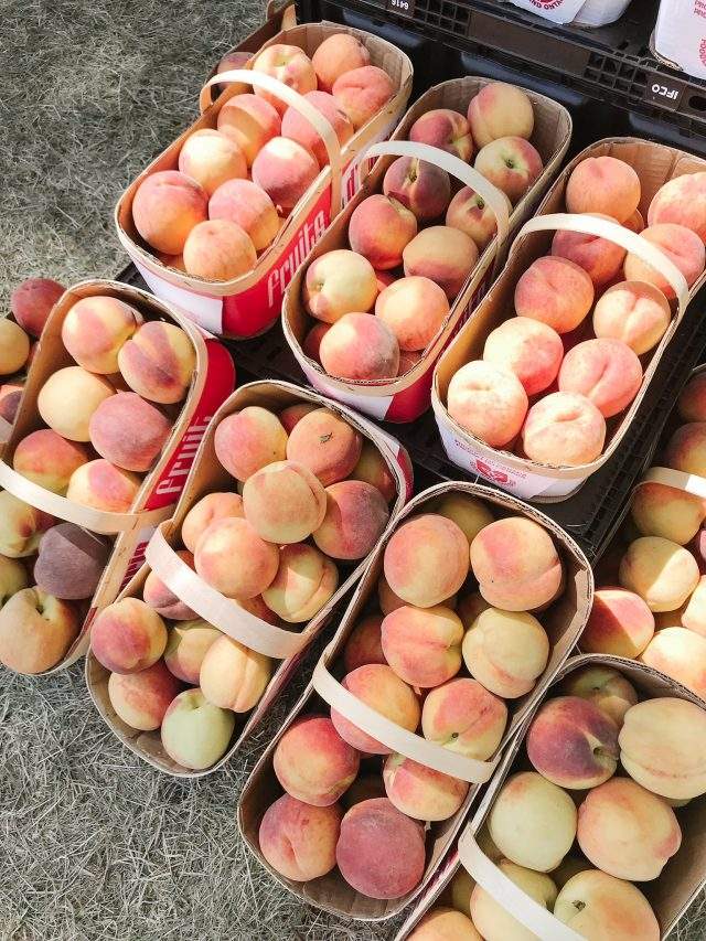 The Winona Peach Festival is the latest summer event cancelled because of the coronavirus pandemic.