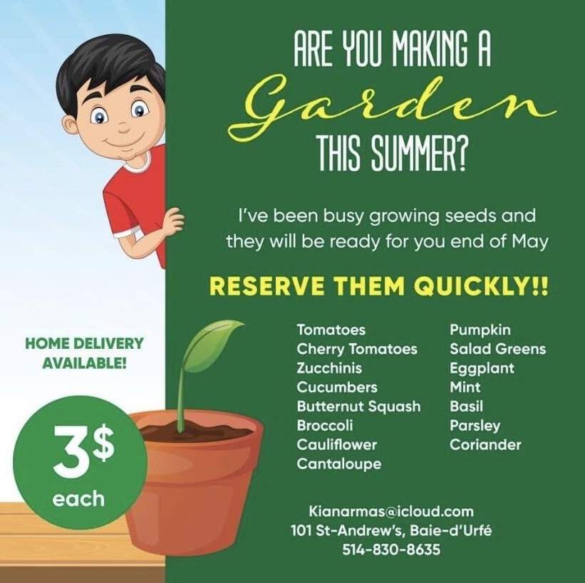 Baie d’Urfe teen cultivates new business venture while in isolation - image