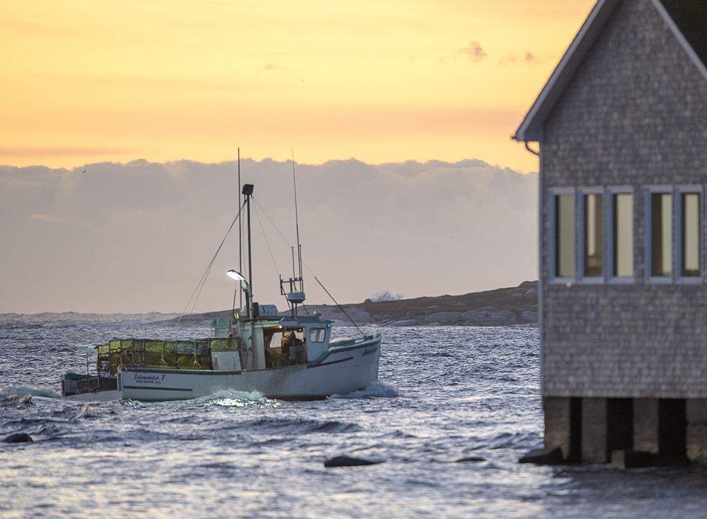 Fishing boats, loaded with traps, head from port in West Dover, N.S. on Tuesday, Nov. 26, 2019.