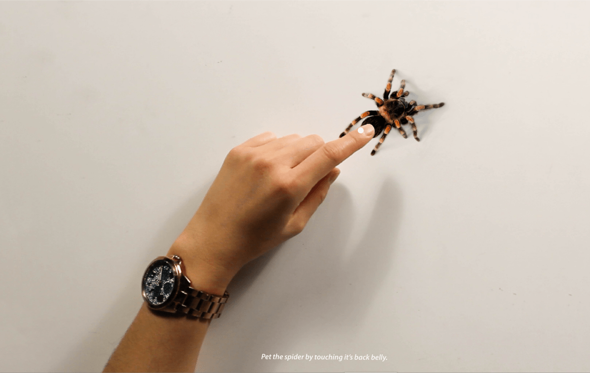 A shot from the prototype program that U of A design student Anna Chakravorty developed as part of her thesis.
