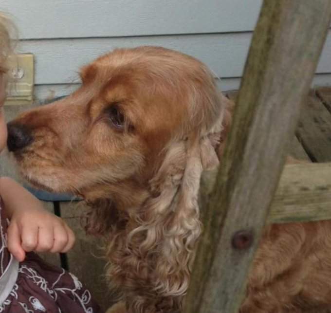 Keep your eyes open for Keisha. She was stolen from a car in Vancouver on May 3, 2020,.