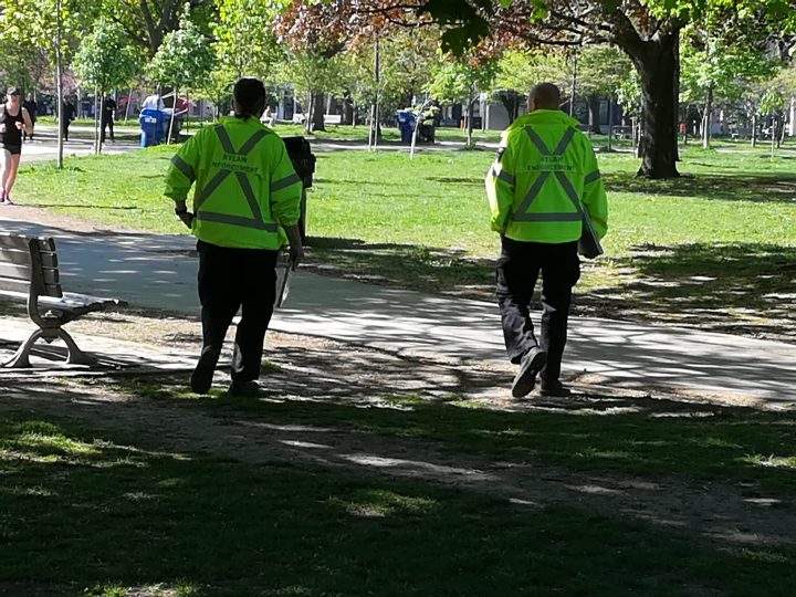 Bylaw officers at Trinity Bellwoods Park on Sunday.