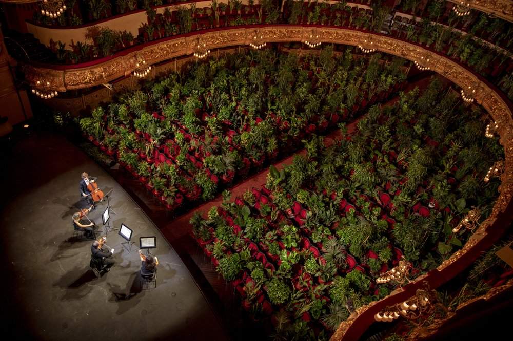 Musicians rehearse at the Gran Teatre del Liceu in Barcelona, Spain, Monday, June 22, 2020. The Gran Teatre del Liceu reopens its doors, in which the 2,292 seats of the auditorium will be occupied on this occasion by plants. It will be on 22 June, broadcast live online, when the UceLi Quartet string quartet performs Puccini’s “Crisantemi” for this verdant public, brought in from local nurseries.