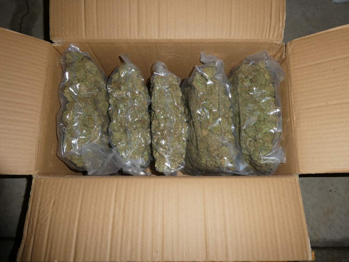 Northumberland OPP arrested two Ottawa woman after seizing 240 pounds of cannabis during a traffic stop.