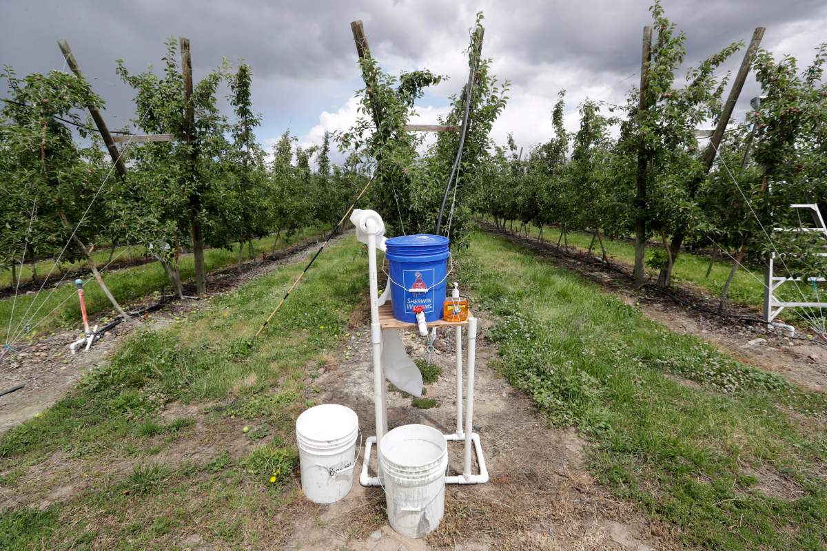 Since mid-June, Ontario has seen three migrant farm workers from Mexico die after being infected with the coronavirus.