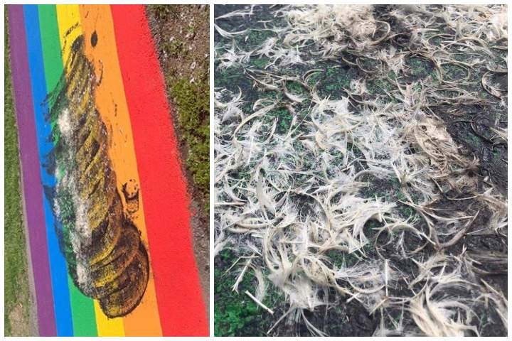 People in Airdrie woke up on June 27, 2020, to find a Pride sidewalk tarred and feathered.