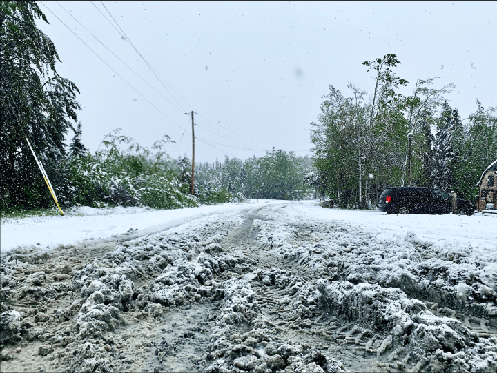 A road in Pickle Lake Township is covered in snow and slush after a June snowfall