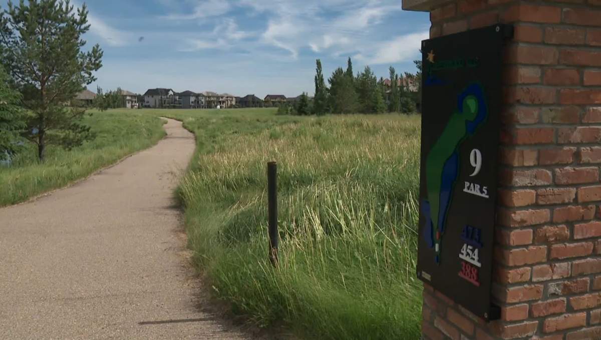 Grass has grown and so have the weeds on the former Coyote Crossing Golf Course in Strathcona County, Alta.