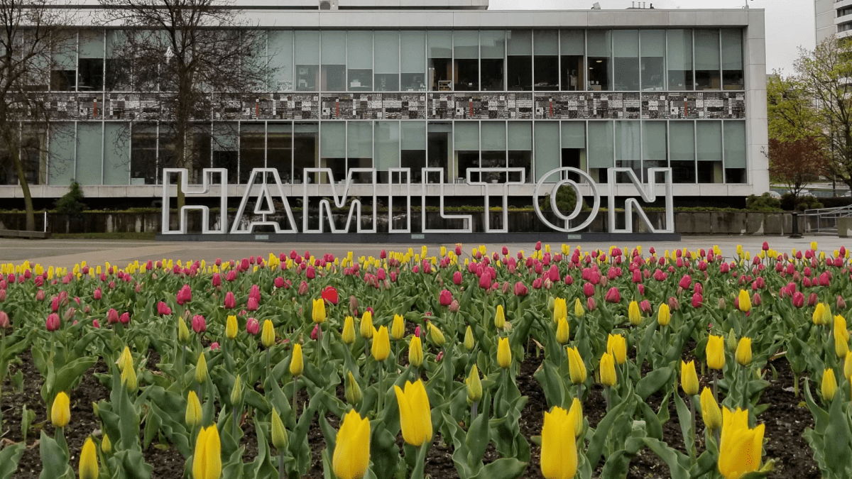 Hamilton Mayor Fred Eisenberger insists that councillors need to see the updated 2026 proposal before they dig in their heels.