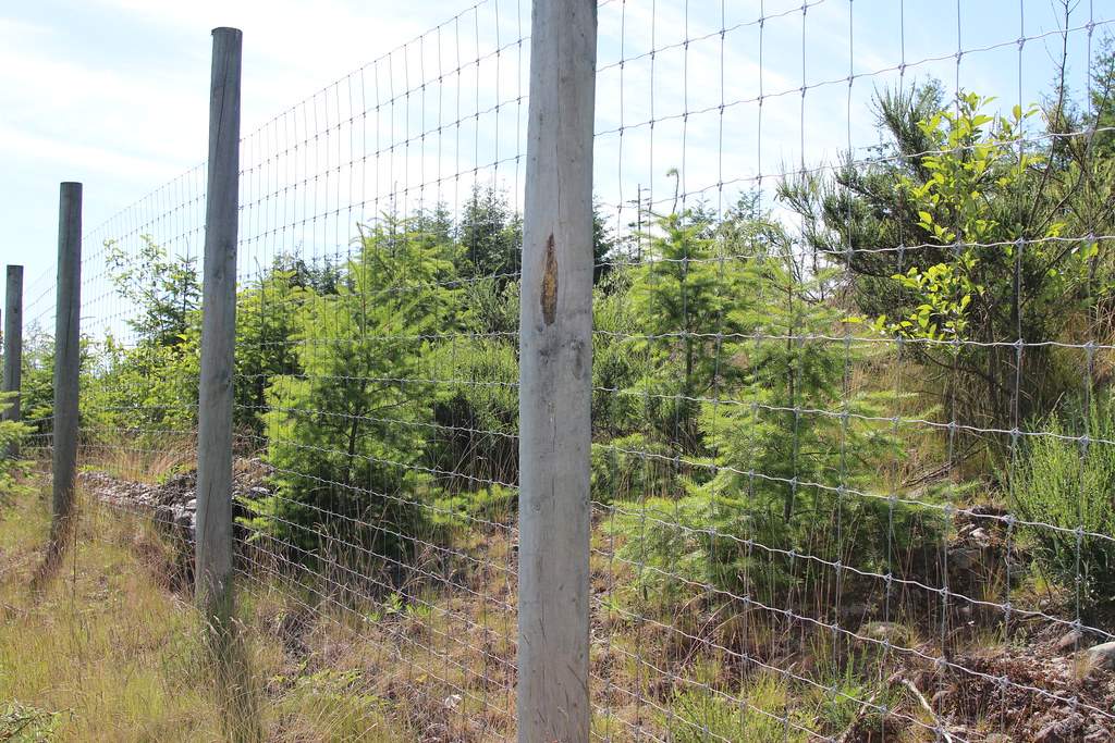 B.C.’s Ministry of Transportation says nearly 25 kilometres of fencing will be installed along the Coquihalla Highway, south of Merritt.