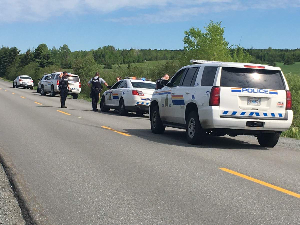 Nova Scotia RCMP are investigating after a fatal pit bull attack in Middle Musquodoboit, N.S.