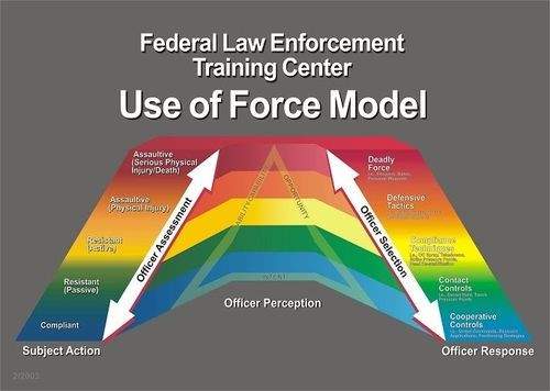 George Floyd death draws scrutiny on police use of force. What’s Canada’s protocol? - image
