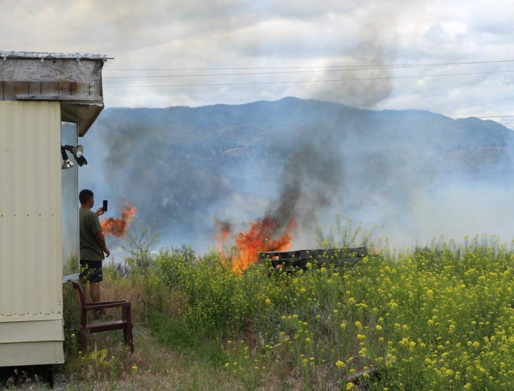 Fire officials say birds hit a power line causing sparks that ignited the grass fire on Saturday.
