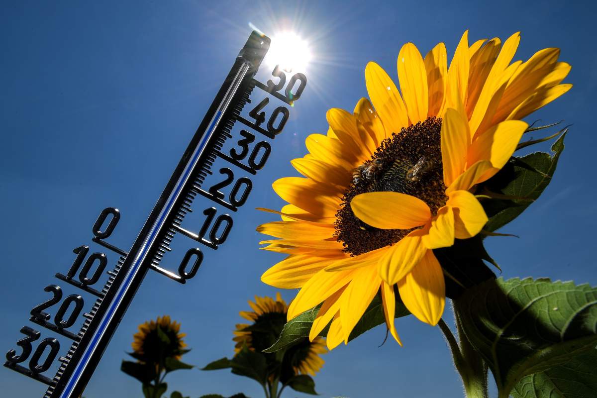 Another blast of hot weather is expected to arrived in Hamilton on Tuesday.