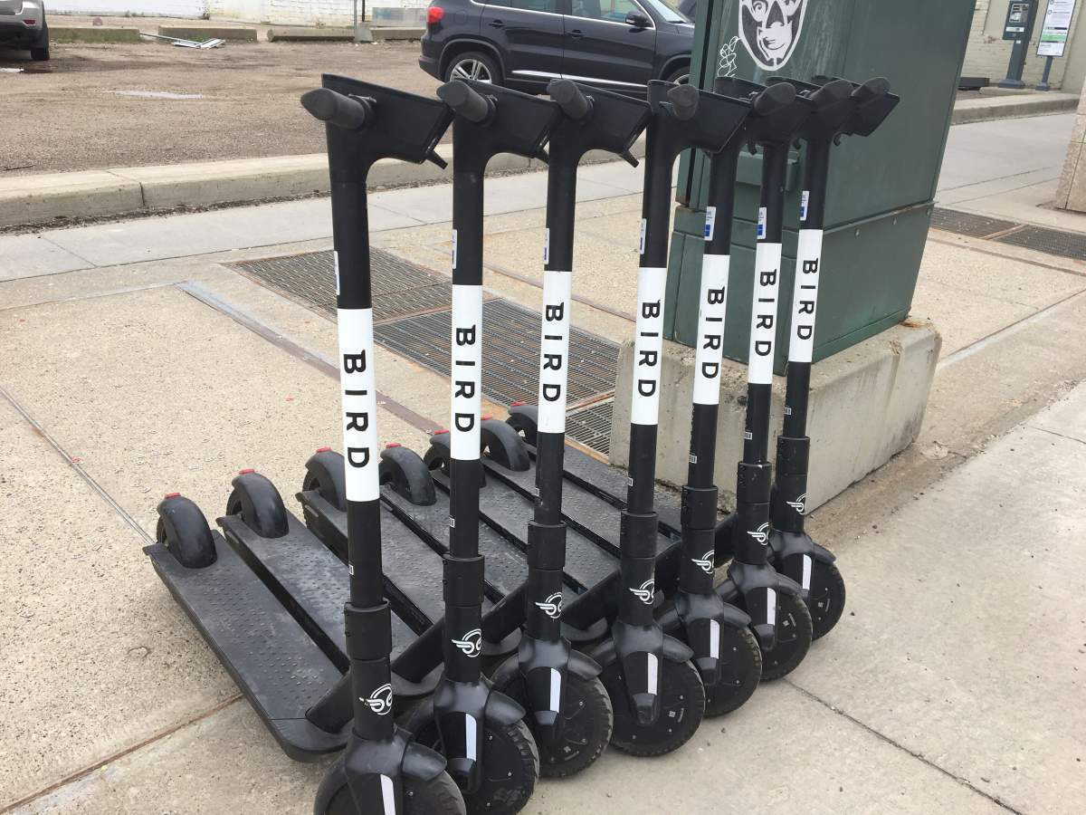 Bird Canada electric scooters spotted at 108 Street and Jasper Avenue in Edmonton, Alta. on June 1, 2020.

