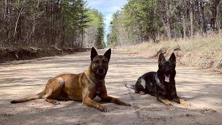 Jaks and Tai enjoying the shade.