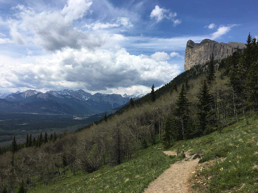 The hiking trail on Yamnuska in Alberta's Bow Valley Wildland Provincial Park, part of Kananaskis Country, is shown in June 2017. Some of Alberta's climbing group is making a push to change the names of some climbing routes and peaks in the province due to racist connections. THE CANADIAN PRESS/Colette Derworiz.