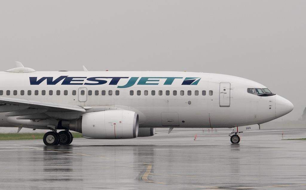 A WestJet airlines plane at the Ottawa airport Wednesday June 26, 2019.