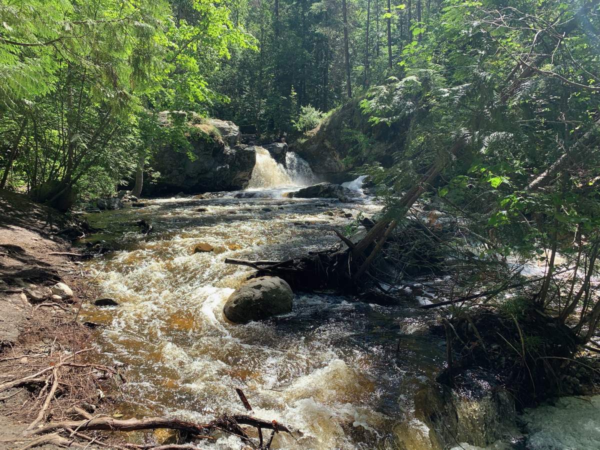 File photo: Mill Creek Regional Park near Kelowna.