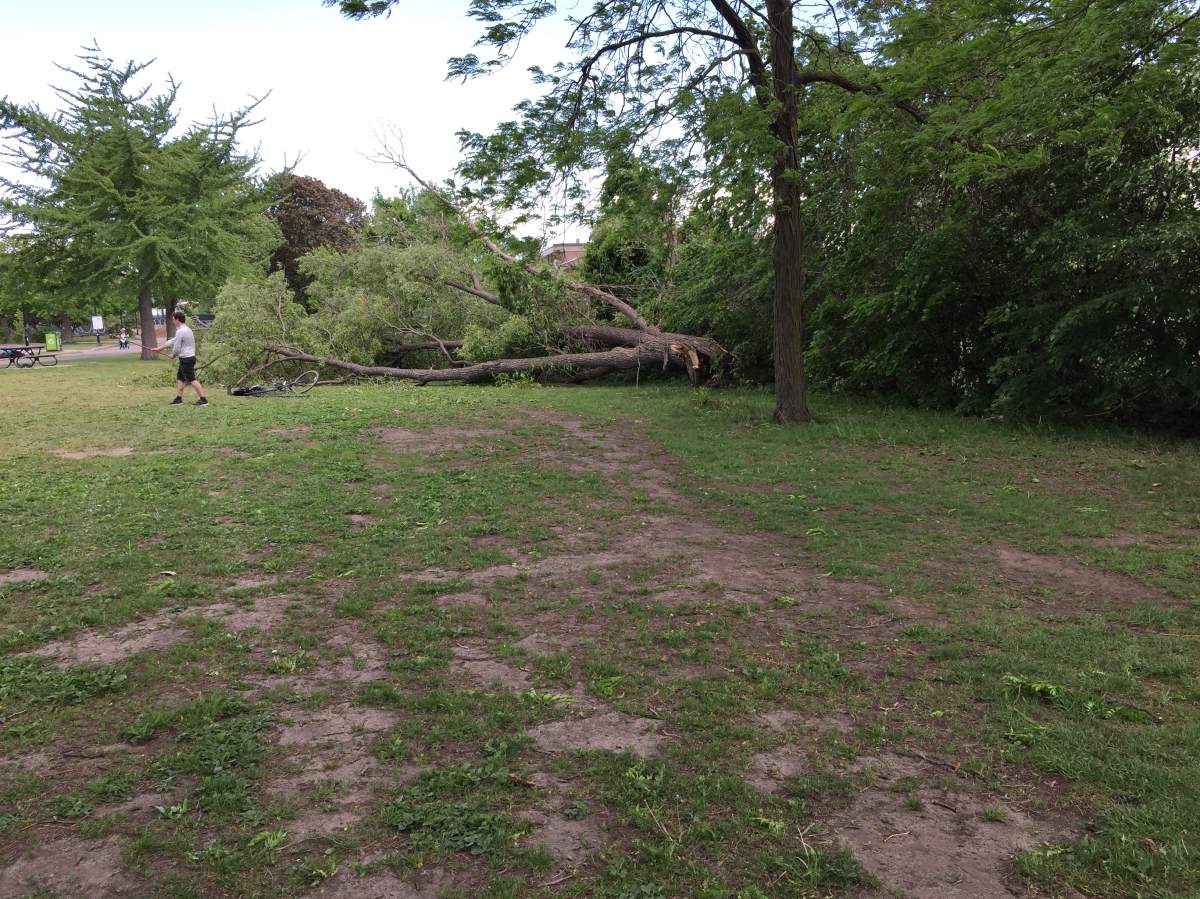 Powerful winds have knocked out power and some trees in the Montreal area.