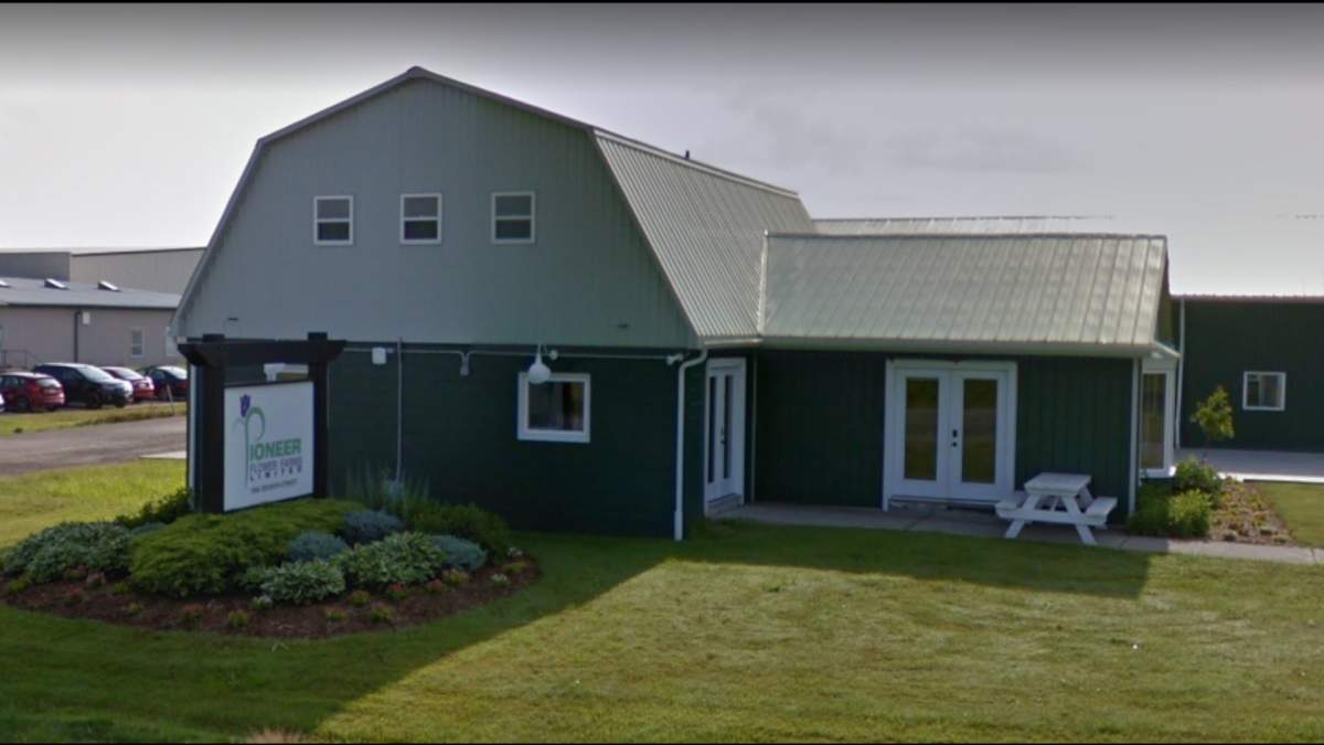Niagara Region Public Health says it's investigating 20 confirmed cases of novel coronavirus at Pioneer Flower Farms greenhouse in the St. Catharines area as of Monday June 1, 2020.