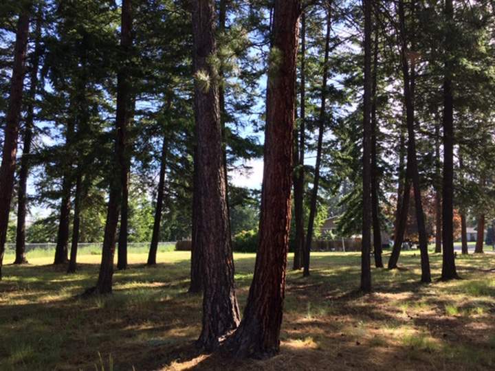 Two residents in Princeton, B.C., are against a plan to turn a local park into residential lots.