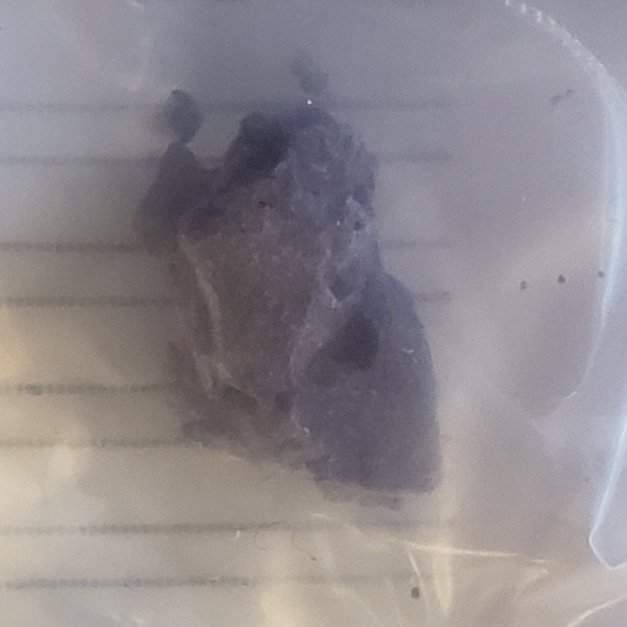 Waterloo Region Integrated Drug Strategy (WRIDS) issued an overdose alert to area fentanyl users on Tuesday.