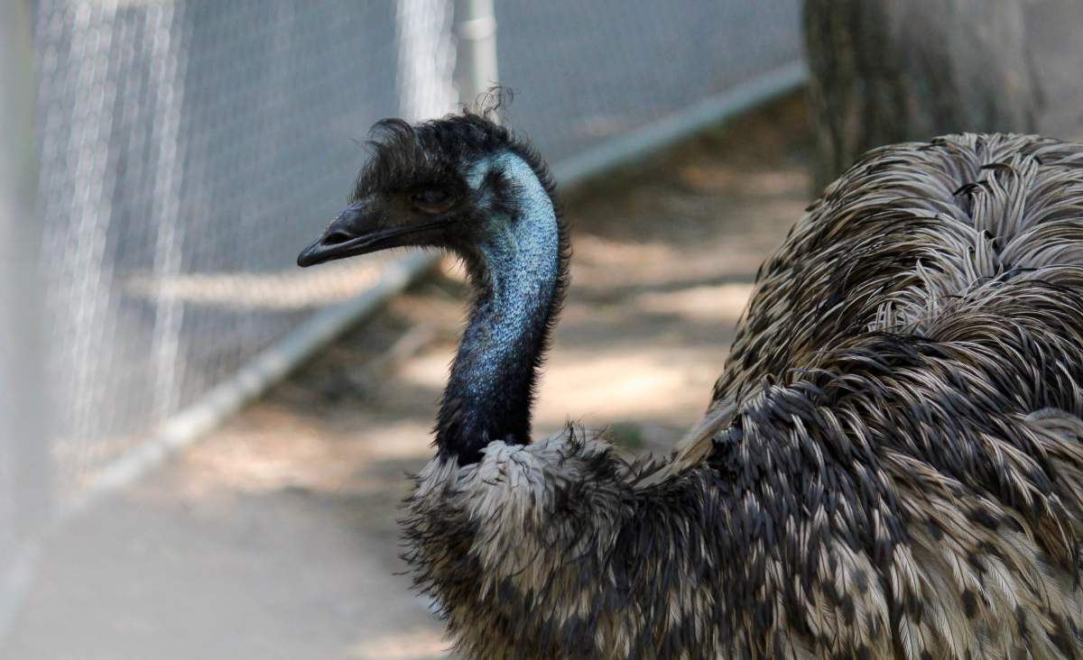 The Riverview Park and Zoo in Peterborough will remain closed amid the coronavirus pandemic.