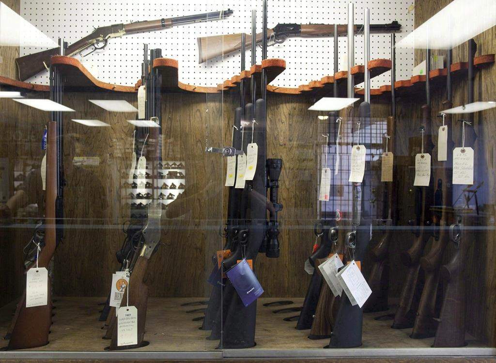 File photo. The Saskatchewan government said it continues to work on the transition of the provincial chief firearms officer from federal management.
