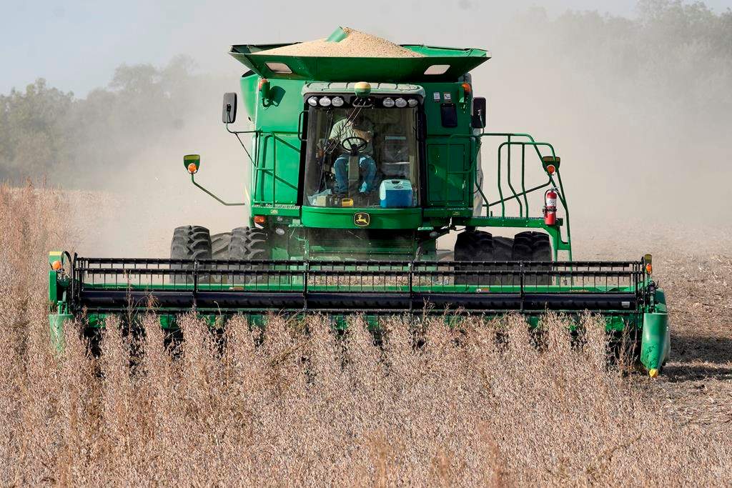 As Saskatchewan approached the midway point of August, most of the province has not yet started harvesting, as only one per cent of producers in the province have started harvesting. 