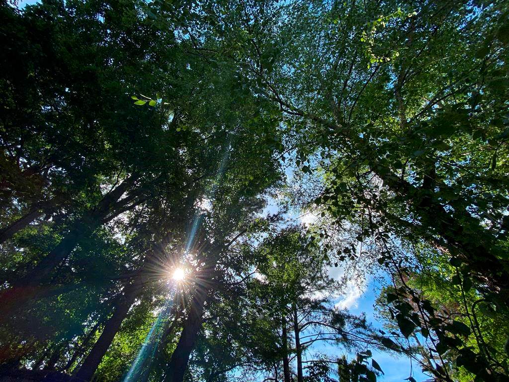 RCMP in the Okanagan are reminding campers and hikers to always have a good plan in place after they spent three days looking for a lost camper.