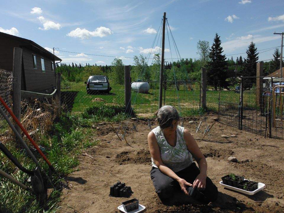 Candyce Paul transplants herbs into her garden. 