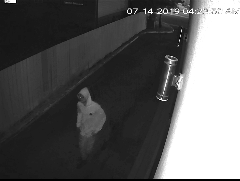 At approximately 4:45 a.m., on Sunday, July 14, 2019, police were called to the 500 block of 44 Street S.E., for reports of a woman being sexually assaulted by an unknown man.