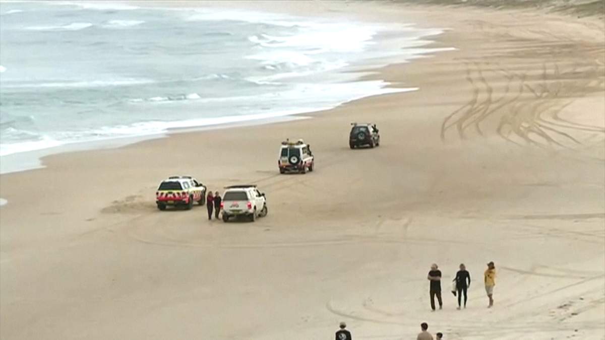 Police said the boy was surfing at Wooli Beach, near Grafton, about 600 kilometres north of Sydney in New South Wales state just before 2:30 p.m. when he was attacked.