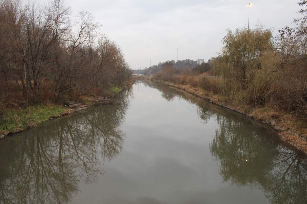 City councillors will be asked to approve the hiring of a contractor in early July, ahead of the start of dredging.