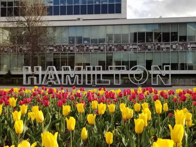 A former sports television executive joined Hamilton's 2026 Commonwealth Games bid committee.