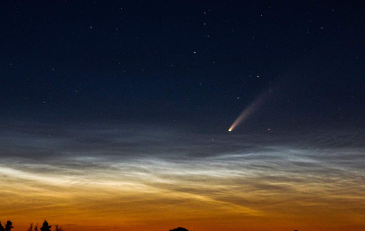 A shot taken of the Neowise Comet in Alberta by Davide Colonna.