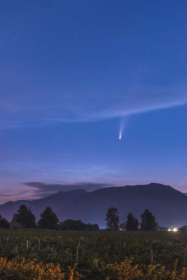 Photographers snag gorgeous photos of rare comet over B.C. - image