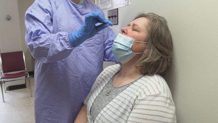 Understanding false positive and false negative COVID-19 tests - image