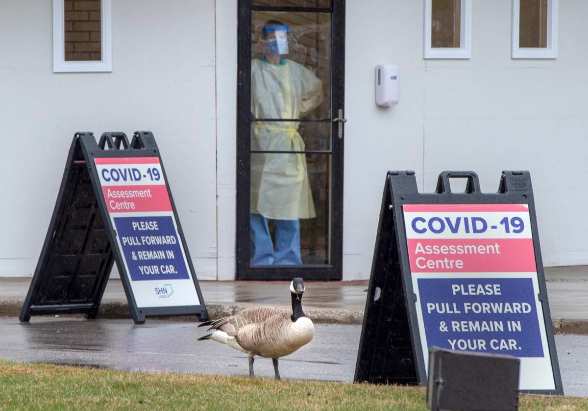 Alberta Health has confirmed an additional 47 cases of COVID-19 in the province on July 7, 2020.