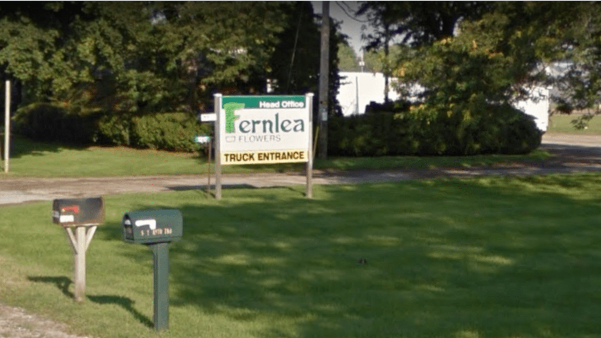 Haldimand-Norfolk health unit are reporting a number of recent COVID-19 cases connected to a large greenhouse in Delhi, Ontario.